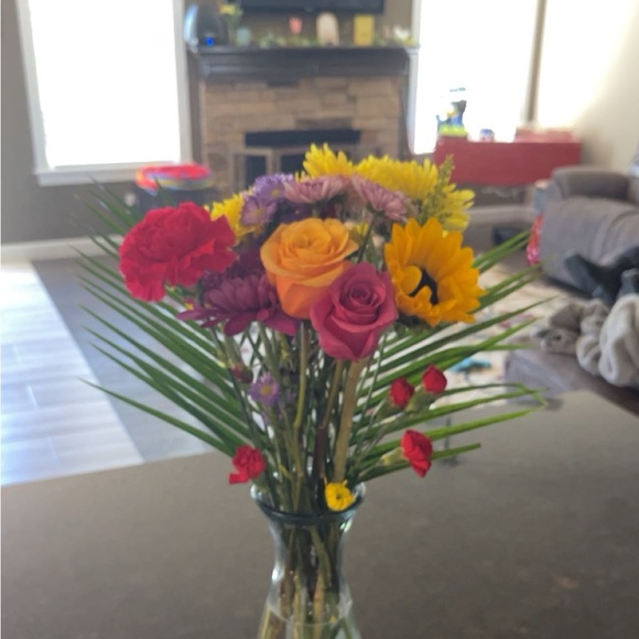 Meet your Posher, Ellie - Picture 1 of 1